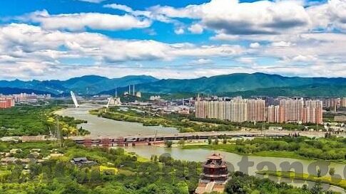 2022大象传媒视频-2022年大象传媒视频，重塑娱乐与信息传播的边界