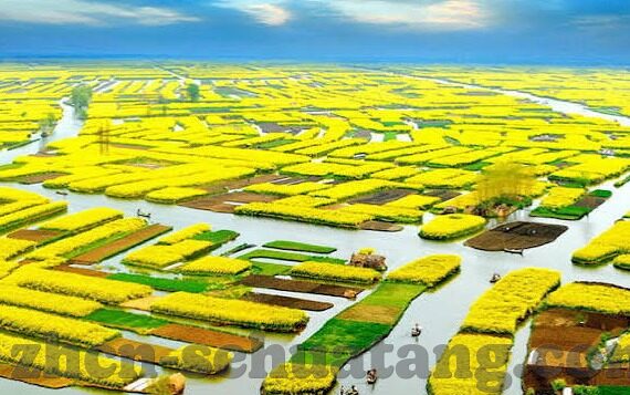 91蜜桃麻豆-探索新媒体的校外红海，91 蜜桃麻豆现象透析