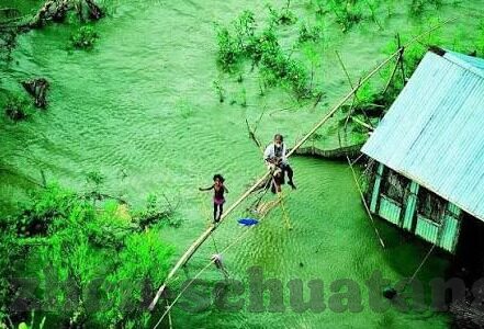 成人有声小说一区二区-成人有声小说，一区二区的魅力与挑战