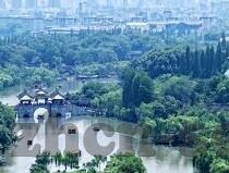 大象视频app最新版-探索大象视频APP最新版，重塑娱乐体验的革新力量