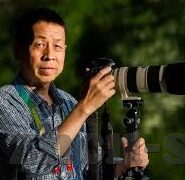国产日韩av一区二区三区-国产影视的多元化探索，一区、二区、三区的独特魅力