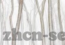 精品人妻一-精品人妻，生活艺术与情感细腻的交织