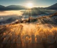 色一区二区-探索网络世界的多元维度，色一区二区的理性审视