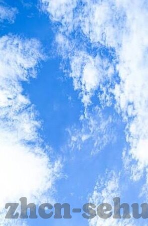 糖心app下载苹果版下载-探索糖心App的苹果版下载，如何安全并有效地进行操作