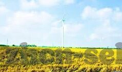 亚洲一区麻豆文化传媒-探索亚洲地区麻豆文化传媒的多元魅力